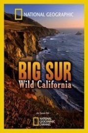 Big Sur: Wild California