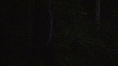 Call of the Wildman Season 3 Episode 23