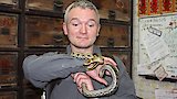 Snake Blood Remedy