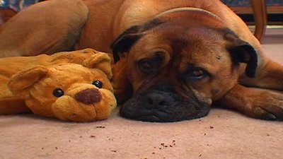 Little People, Big World Season 2 Episode 10