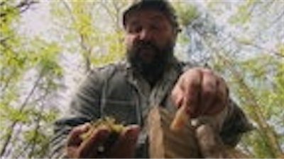 The Truth Behind Season 1 Episode 7