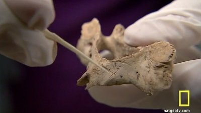 The Truth Behind Season 1 Episode 8