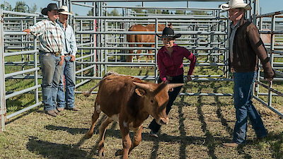 Heartland Season 11 Episode 3