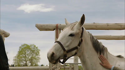 Watch Heartland Season 6 Episode 2 - Crossed Signals Online Now