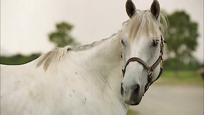 Heartland Season 6 Episode 10