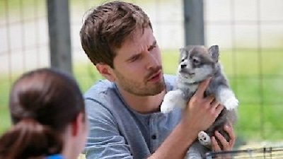 Heartland Season 8 Episode 805