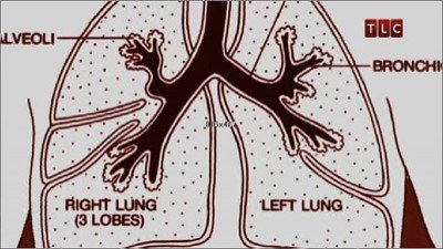 Dr. G: Medical Examiner Season 6 Episode 22