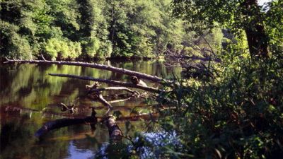 ORF Universum Documentaries Season 1 Episode 66