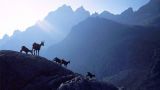 High Tatras: A Wilderness Frozen in Time