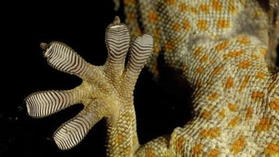 ORF Universum Documentaries Season 1 Episode 87