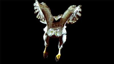 ORF Universum Documentaries Season 1 Episode 86