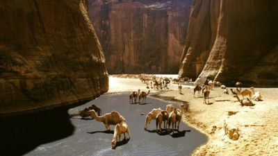 ORF Universum Documentaries Season 1 Episode 105