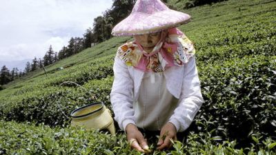 ORF Universum Documentaries Season 1 Episode 106