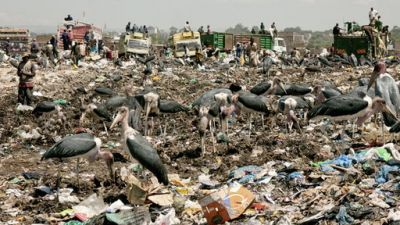 ORF Universum Documentaries Season 1 Episode 112