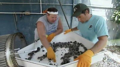 Watch Dirty Jobs Season 5 Episode 22 - Worm Grunter Online Now