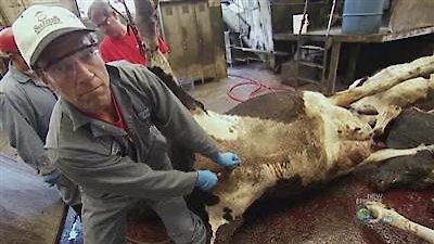 Dirty Jobs Season 5 Episode 3