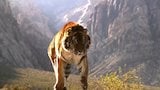 Big Cats and Mixed Martial Arts