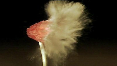 Time Warp Season 1 Episode 15