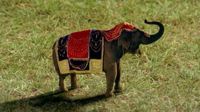 The Elephant Princess Season 1 Episode 4