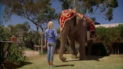 The Elephant Princess Season 1 Episode 19