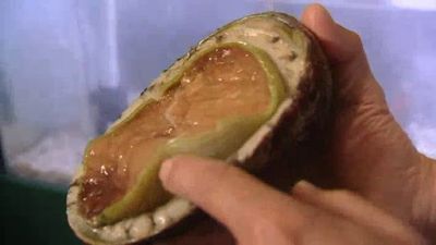 Secret Recipes Season 1 Episode 8