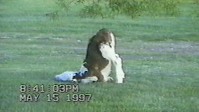 Funniest Pets & People Season 3 Episode 15