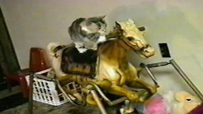 Funniest Pets & People Season 4 Episode 1