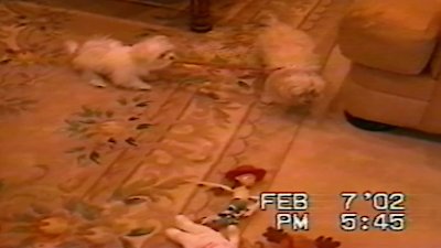 Funniest Pets & People Season 4 Episode 9