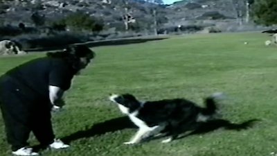 Funniest Pets & People Season 6 Episode 7