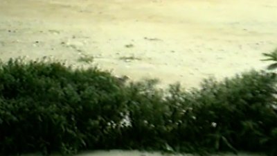 Funniest Pets & People Season 8 Episode 13