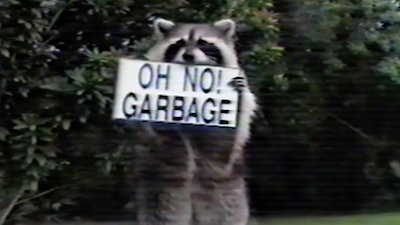 Funniest Pets & People Season 8 Episode 7