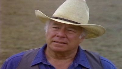 Dallas Season 12 Episode 8