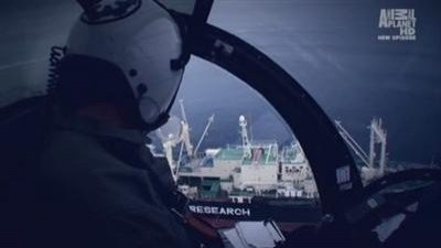 Whale Wars Season 2 Episode 7