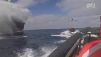 Whale Wars Season 2 Episode 8