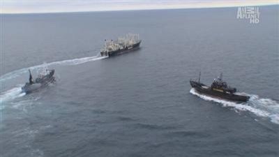 Whale Wars Season 2 Episode 11