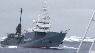 Whale Wars Season 3 Episode 1