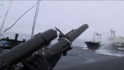 Whale Wars Season 3 Episode 5