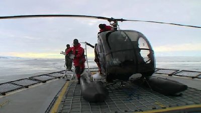 Whale Wars Season 3 Episode 7