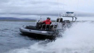 Whale Wars Season 3 Episode 8