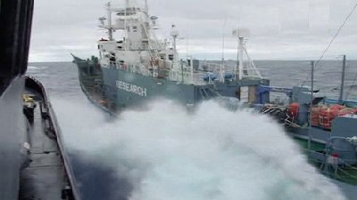 Whale Wars Season 3 Episode 9