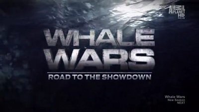 Whale Wars Season 4 Episode 1