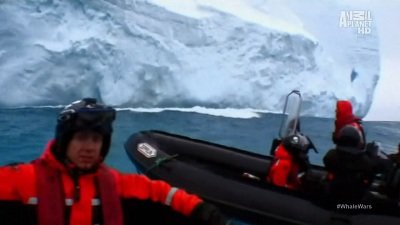 Whale Wars Season 4 Episode 5