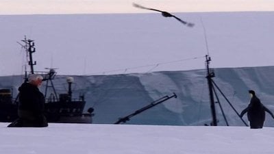 Whale Wars Season 4 Episode 11