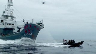 Whale Wars Stream Whale Wars Stream