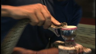 The Jeff Corwin Experience Season 1 Episode 2