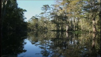 The Jeff Corwin Experience Season 1 Episode 4