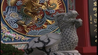 The Jeff Corwin Experience Season 1 Episode 5