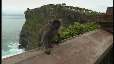 The Jeff Corwin Experience Season 1 Episode 6