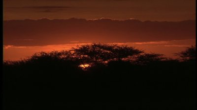 The Jeff Corwin Experience Season 1 Episode 9