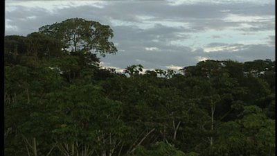 The Jeff Corwin Experience Season 1 Episode 10